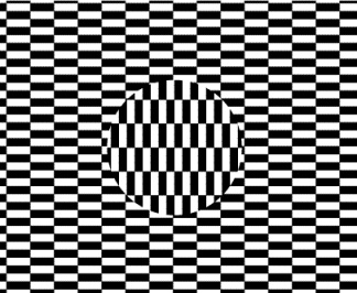 Ouchi illusion